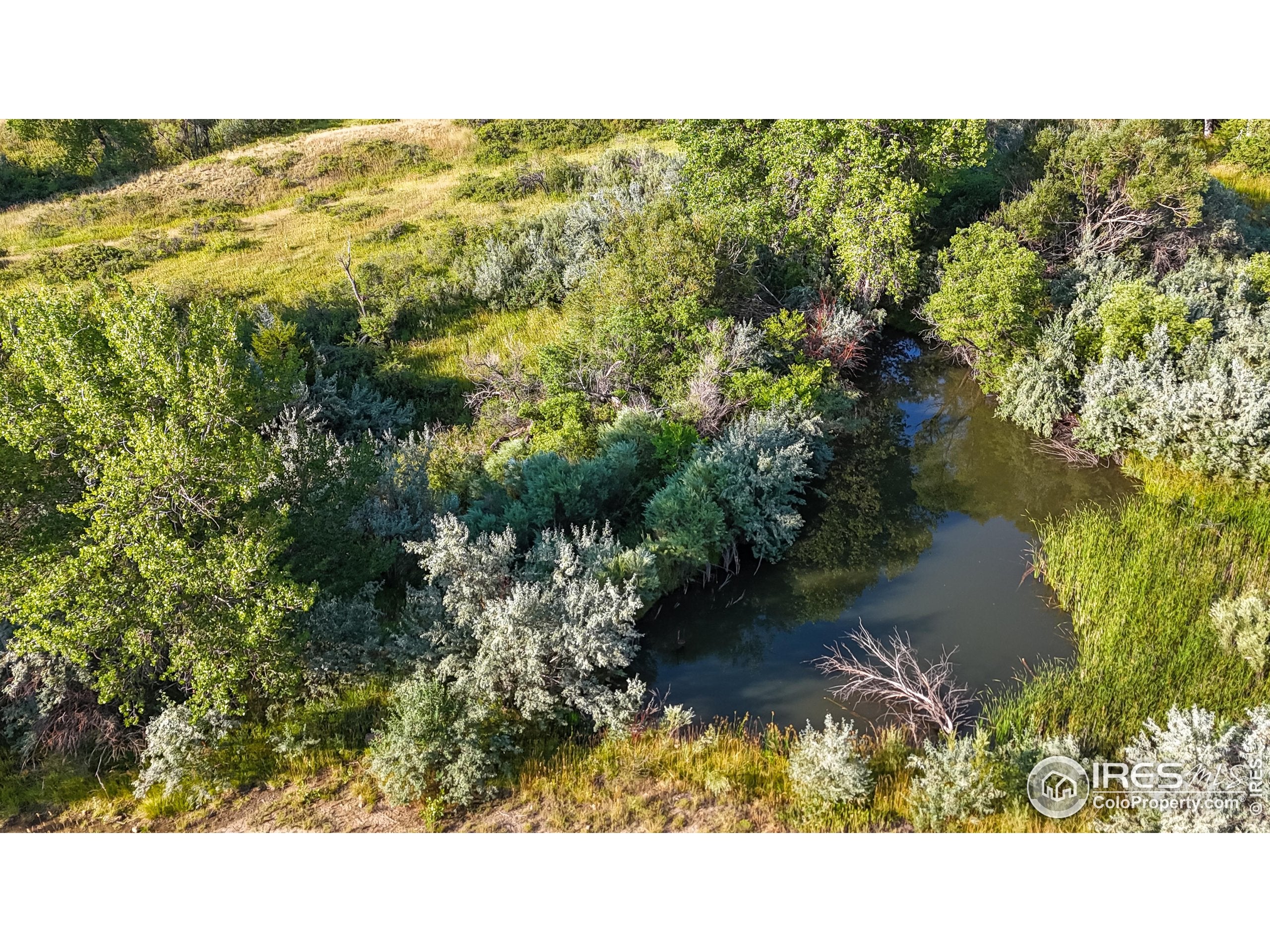 Berthoud, Colorado, 80513, United States, 5 Bedrooms Bedrooms, ,4 BathroomsBathrooms,Residential,Active,1914590