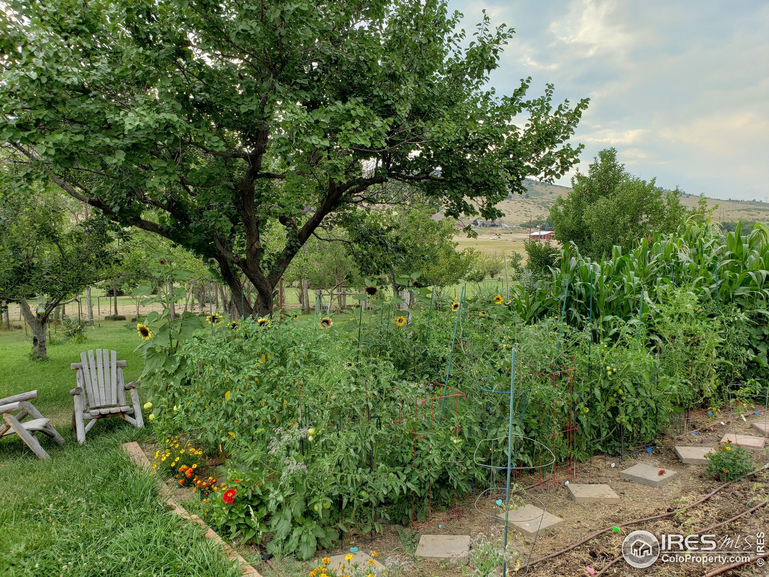 Berthoud, Colorado, 80513, United States, 5 Bedrooms Bedrooms, ,4 BathroomsBathrooms,Residential,Active,1914590