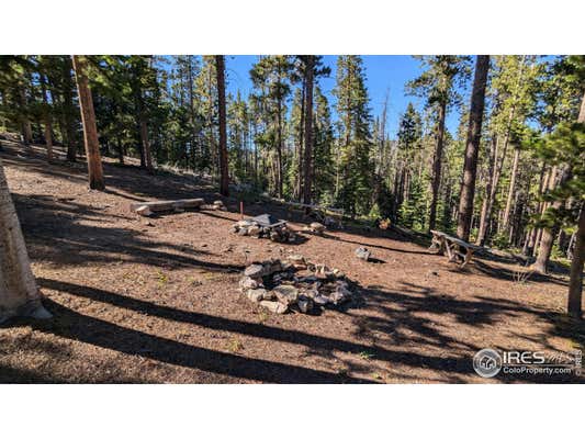 1152 MOSQUITO DR, RED FEATHER LAKES, CO 80545 - Image 1