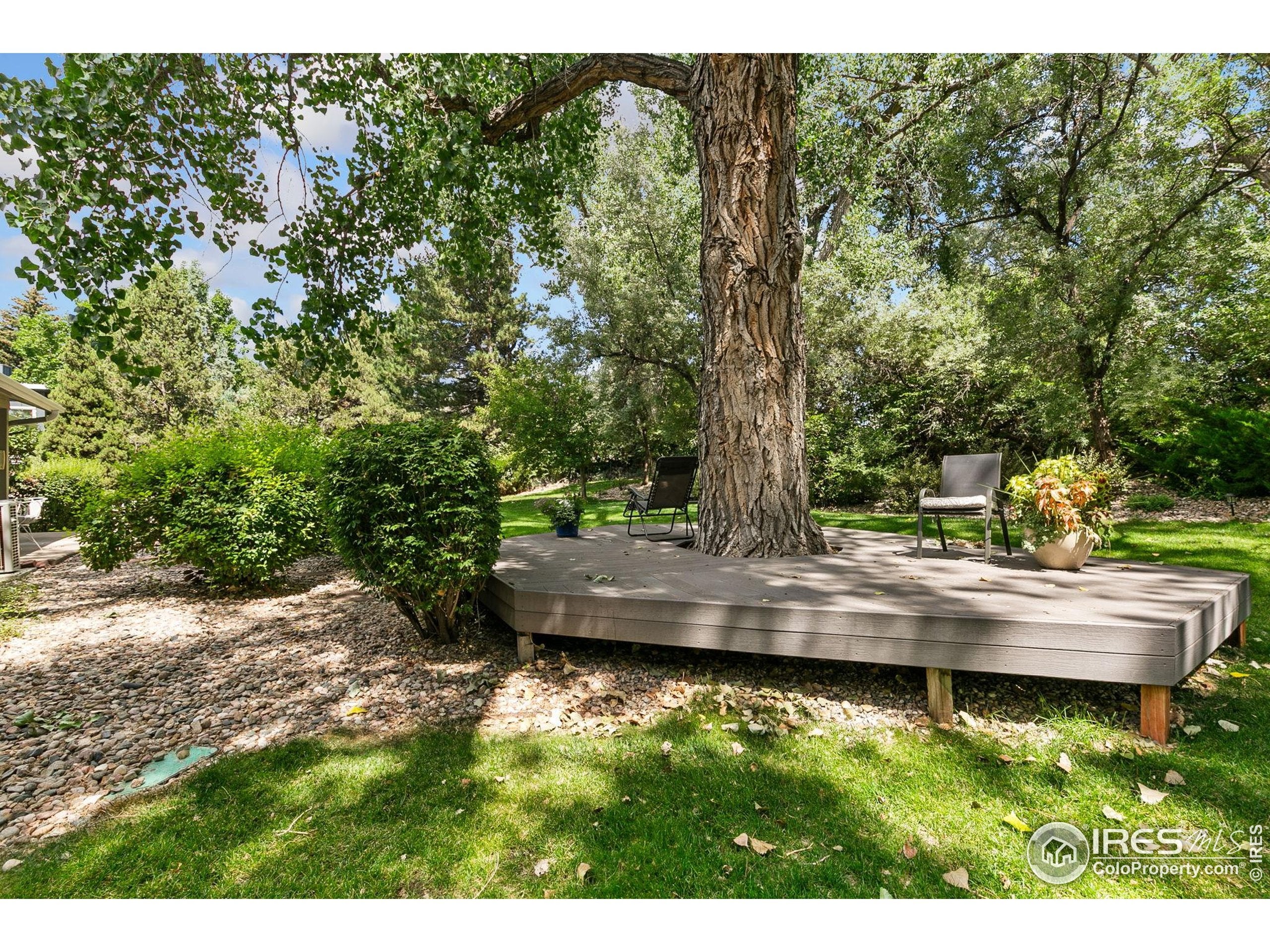 Fort Collins, Colorado, 80524, United States, 3 Bedrooms Bedrooms, ,3 BathroomsBathrooms,Residential,Active,1929667