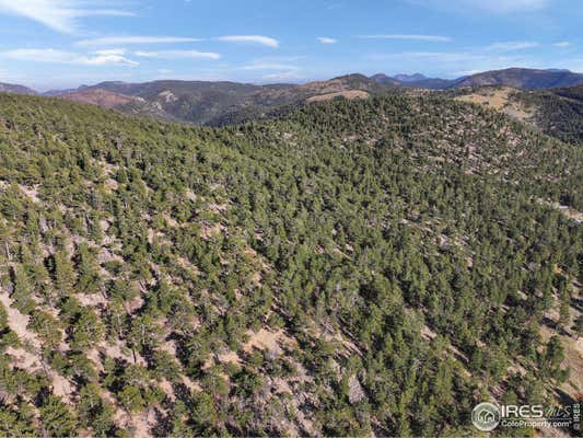 INDIANA GULCH RD, WARD, CO 80481, photo 2 of 29