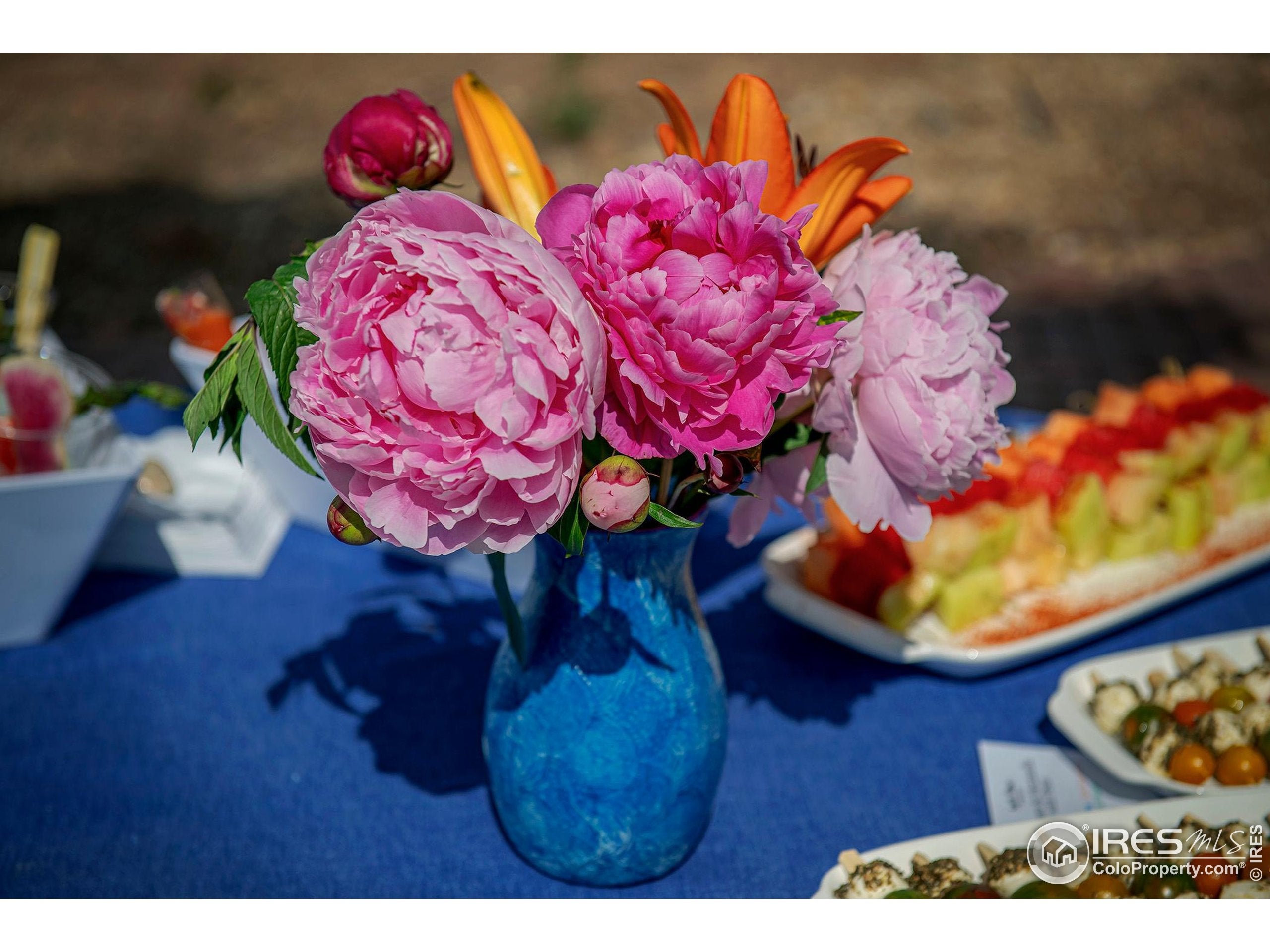 Boulder, Colorado, 80303, United States, ,Residential,Active,1997568