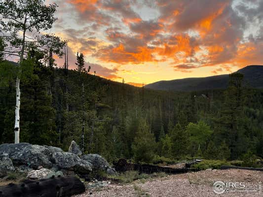 86 NATCHEZ CIR, RED FEATHER LAKES, CO 80545 - Image 1