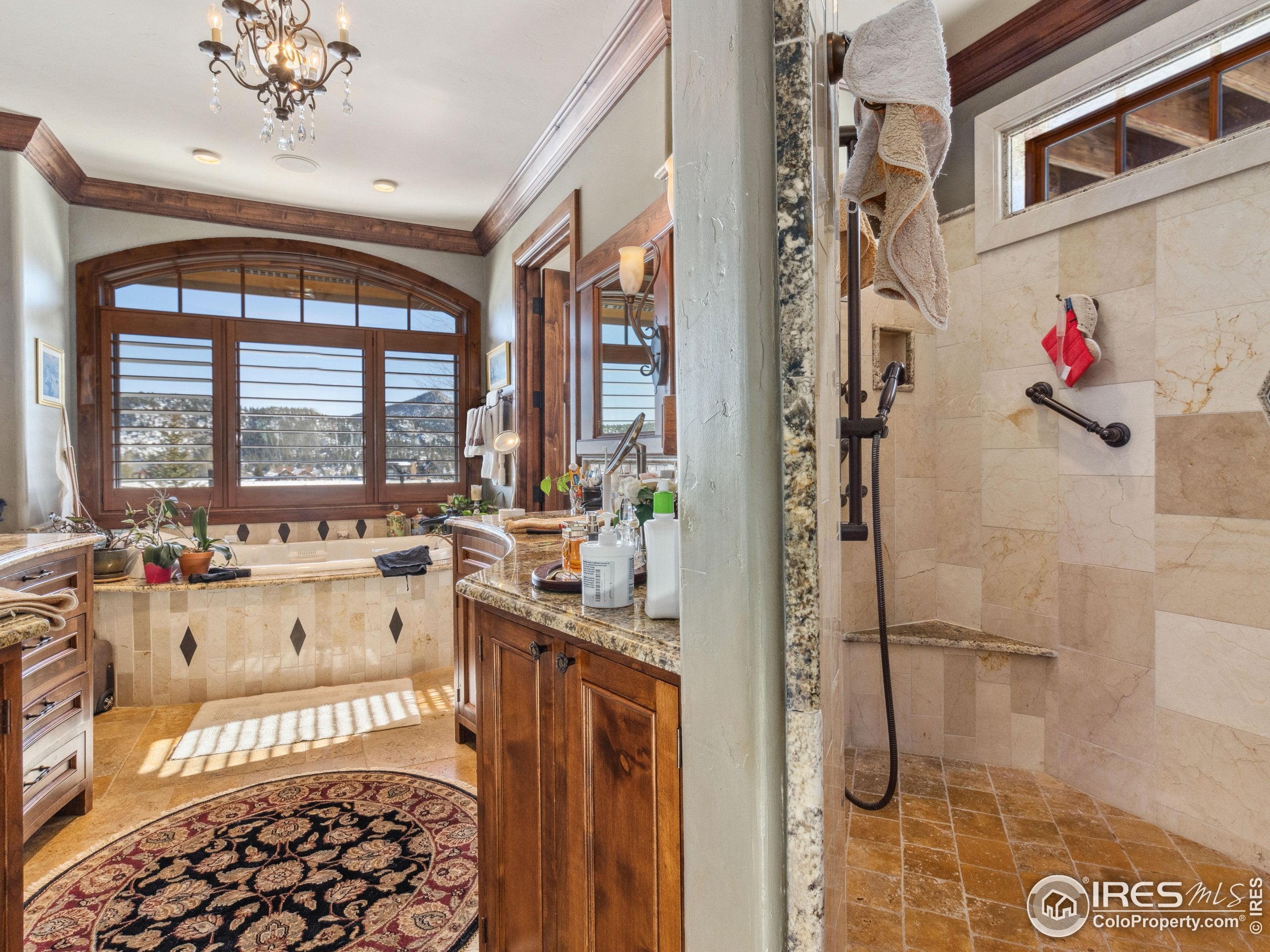 Estes Park, Colorado, 80517, United States, ,4 BathroomsBathrooms,Residential,Active,1702117