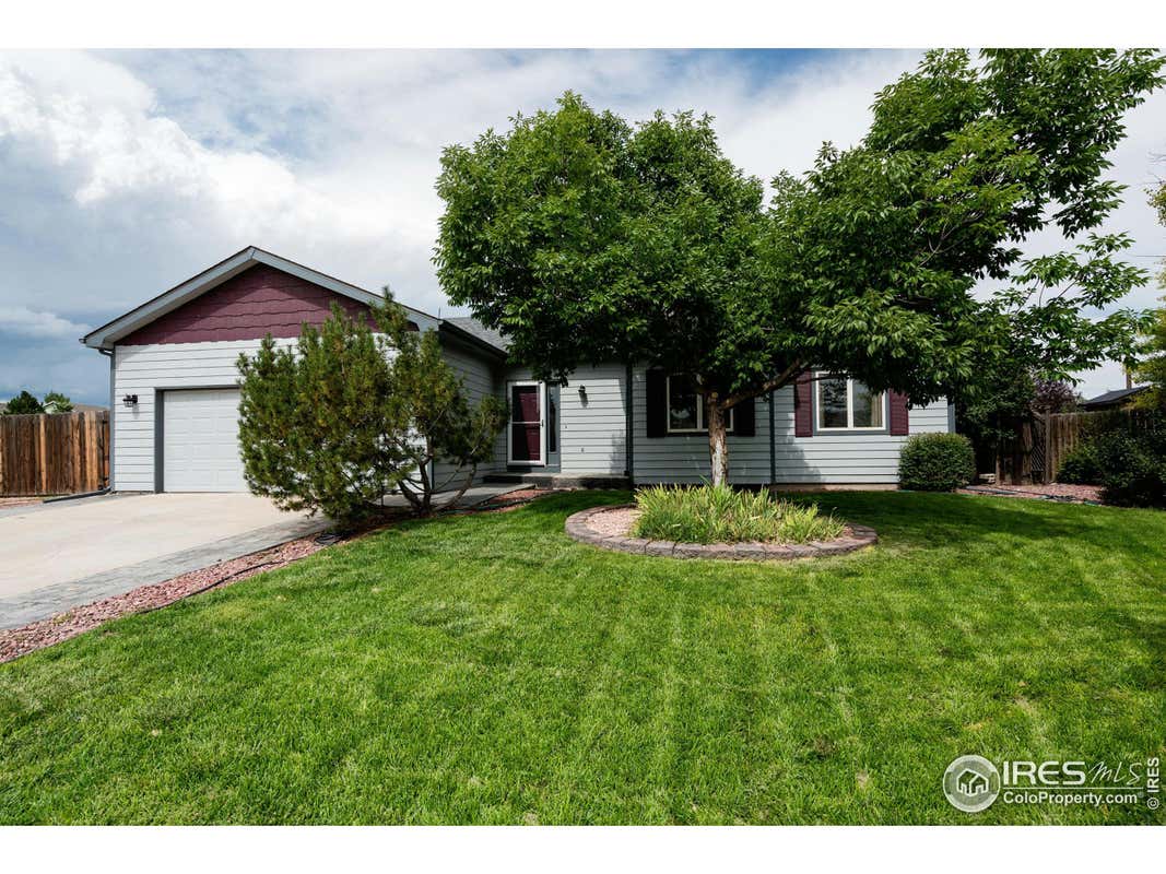 3367 MAMMOTH CT, WELLINGTON, CO 80549, photo 1 of 40