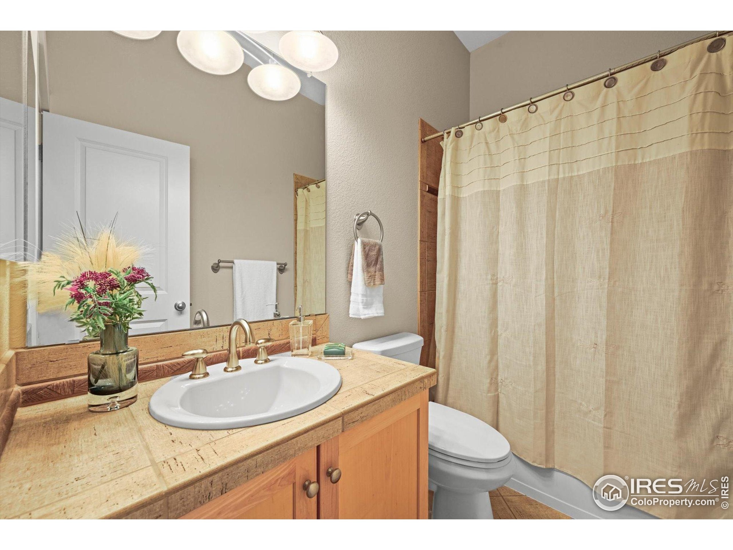 Lafayette, Colorado, 80026, United States, 4 Bedrooms Bedrooms, ,3 BathroomsBathrooms,Residential,Active,1997558