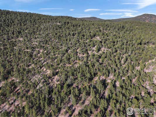 INDIANA GULCH RD, WARD, CO 80481, photo 4 of 29