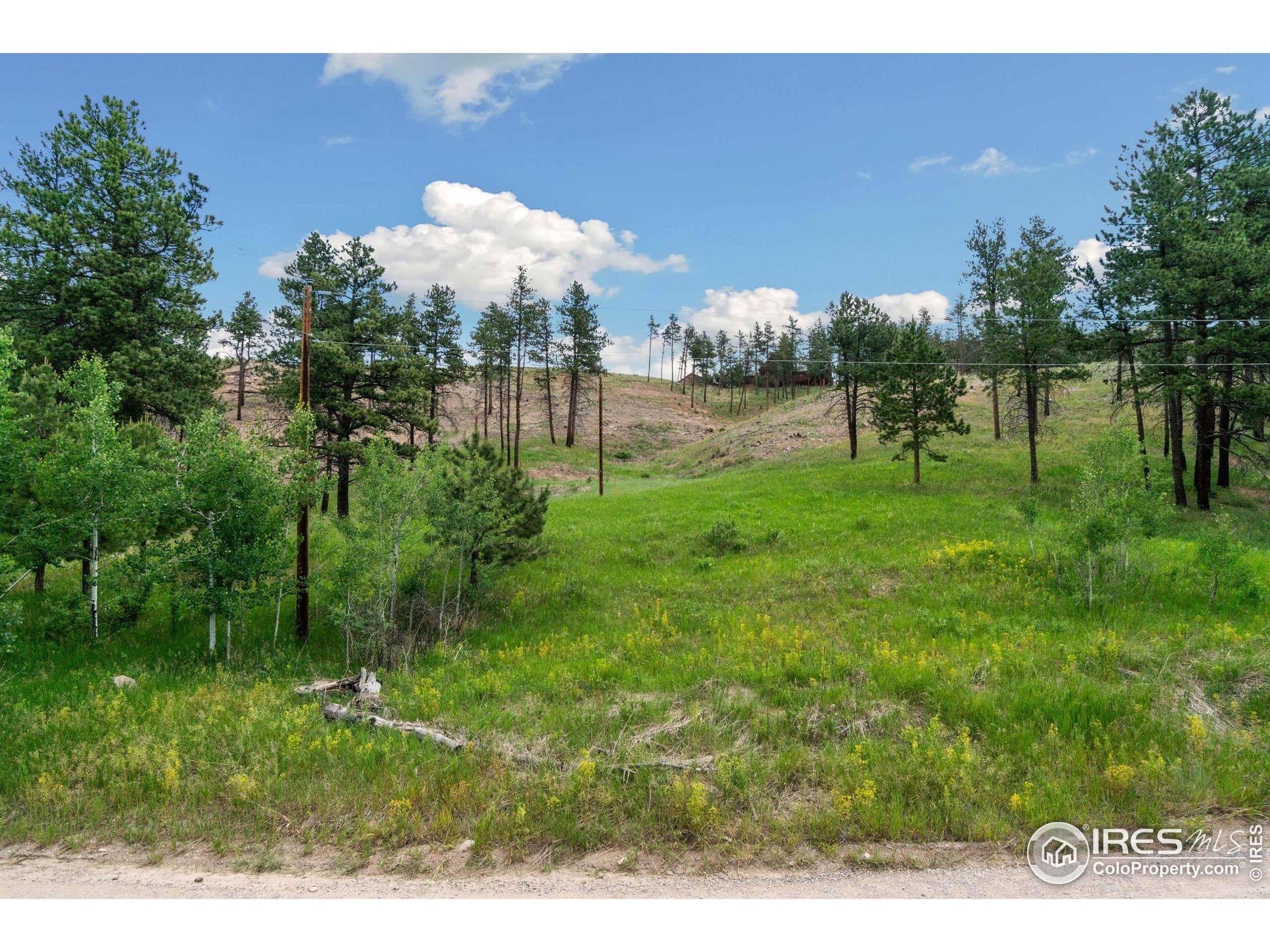 Bellvue, Colorado, 80512, United States, ,4 BathroomsBathrooms,Residential,Active,1849207