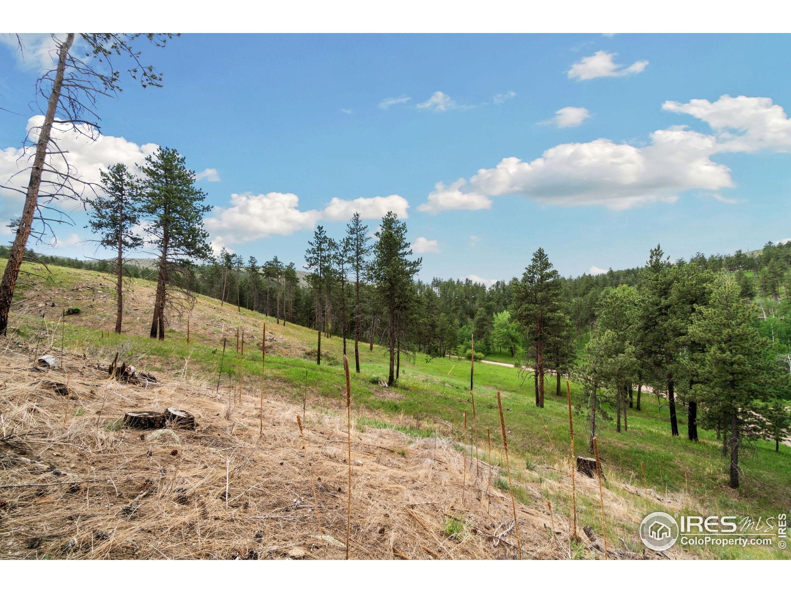 Bellvue, Colorado, 80512, United States, ,4 BathroomsBathrooms,Residential,Active,1849207