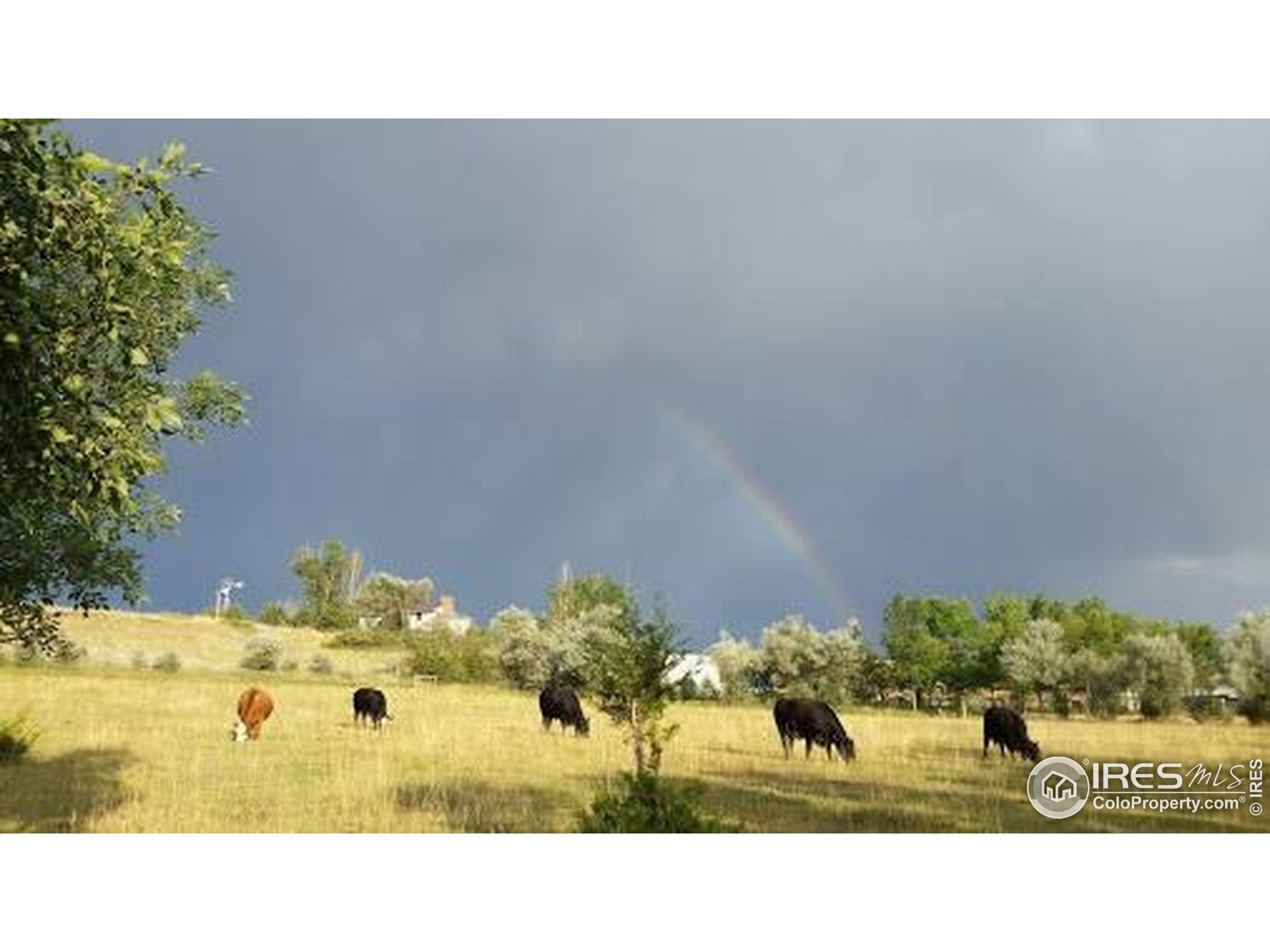 Berthoud, Colorado, 80513, United States, 5 Bedrooms Bedrooms, ,4 BathroomsBathrooms,Residential,Active,1914590