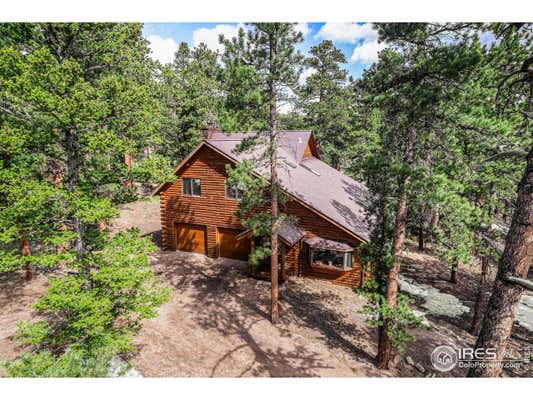 128 NORSKE TRL, ALLENSPARK, CO 80510 - Image 1