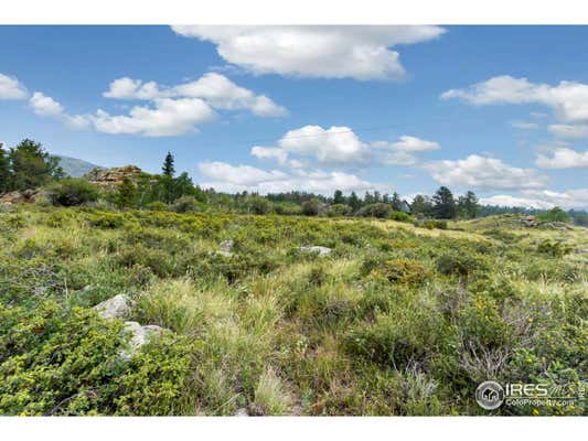 342 NAVAJO RD, RED FEATHER LAKES, CO 80545 - Image 1