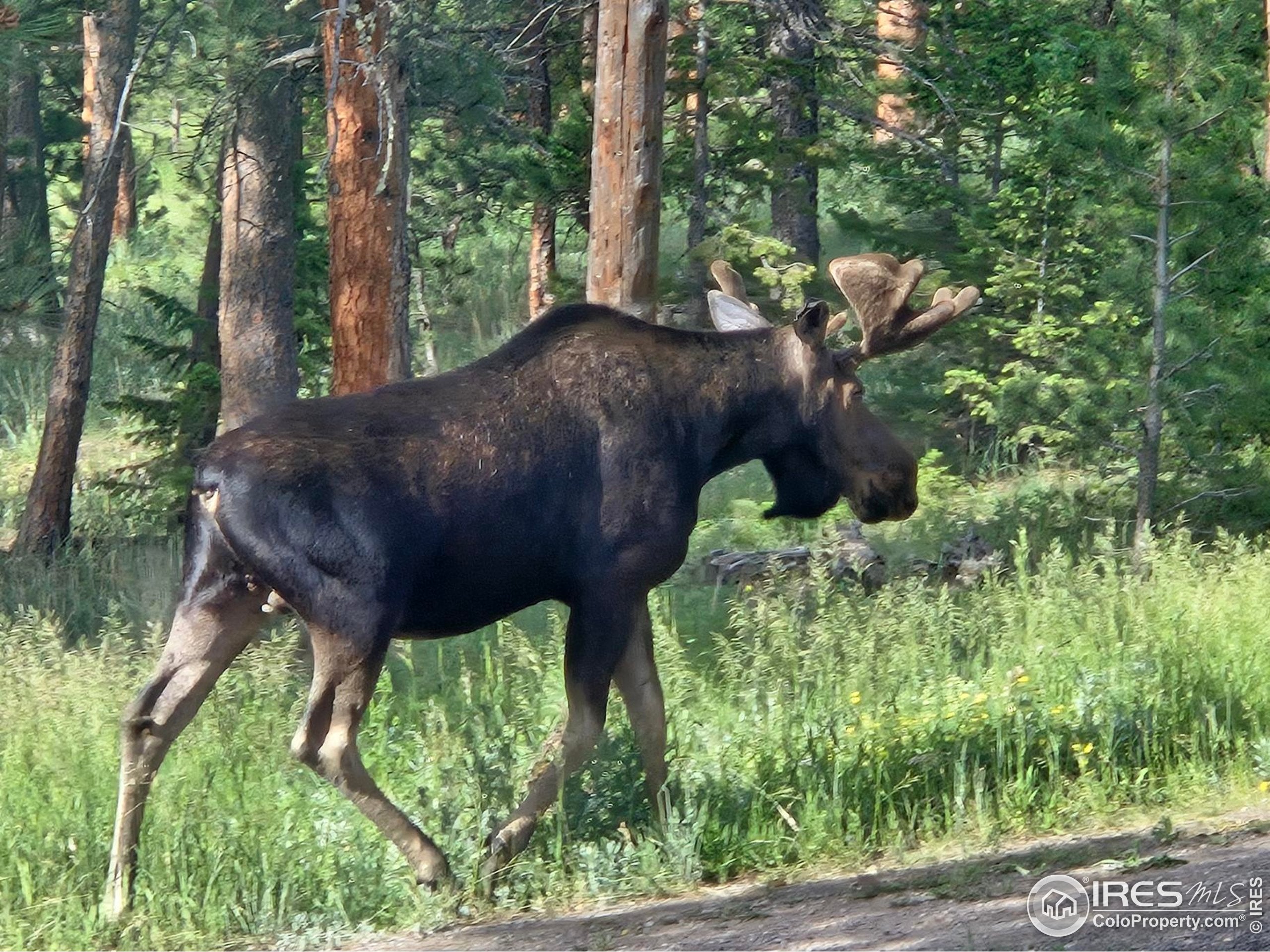 Lyons, Colorado, 80540, United States, 2 Bedrooms Bedrooms, ,2 BathroomsBathrooms,Residential,Active,1876678