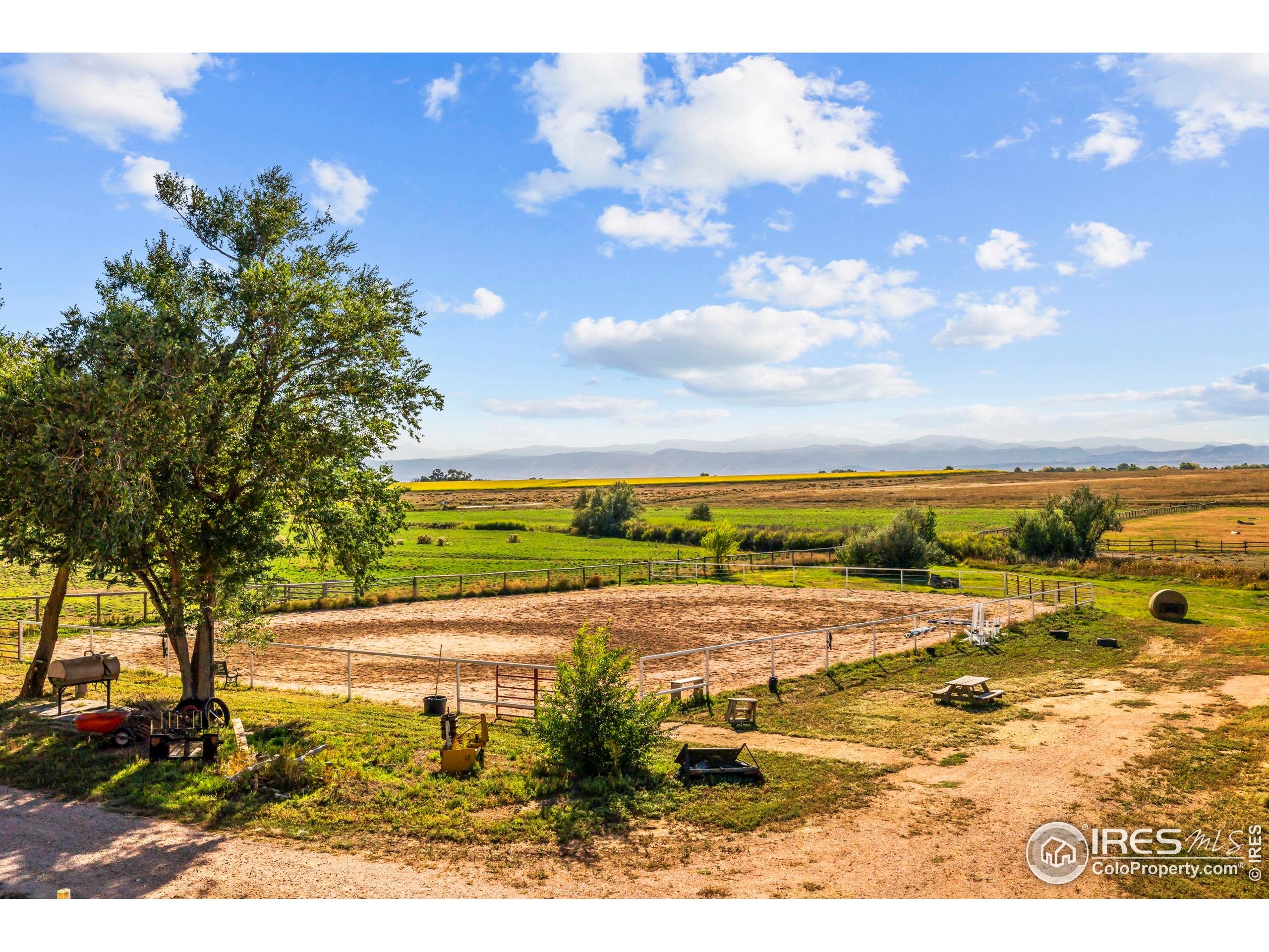 Wellington, Colorado, 80549, United States, 5 Bedrooms Bedrooms, ,4 BathroomsBathrooms,Residential,Active,1954368