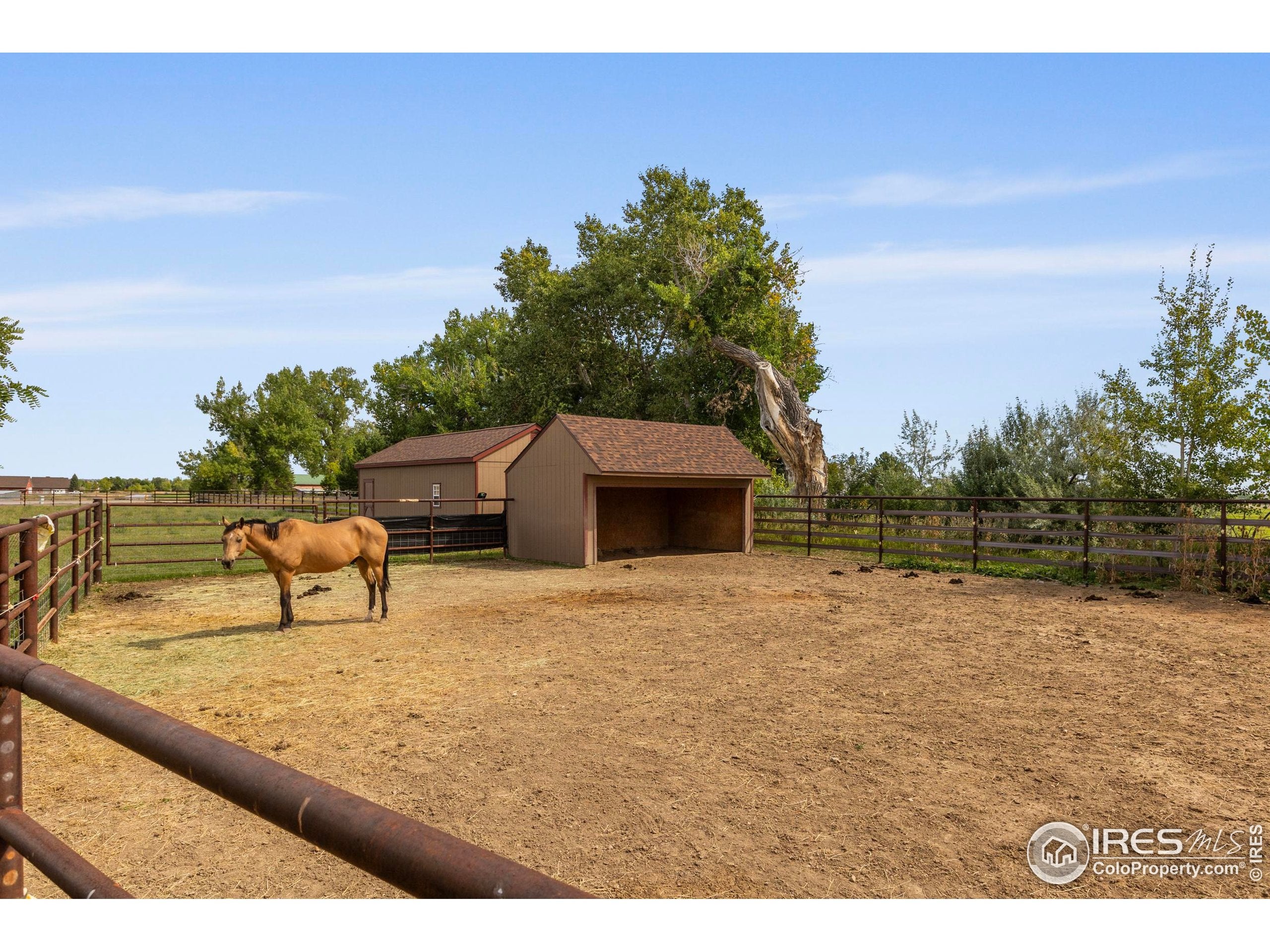 Loveland, Colorado, 80537, United States, 5 Bedrooms Bedrooms, ,4 BathroomsBathrooms,Residential,Active,1943770