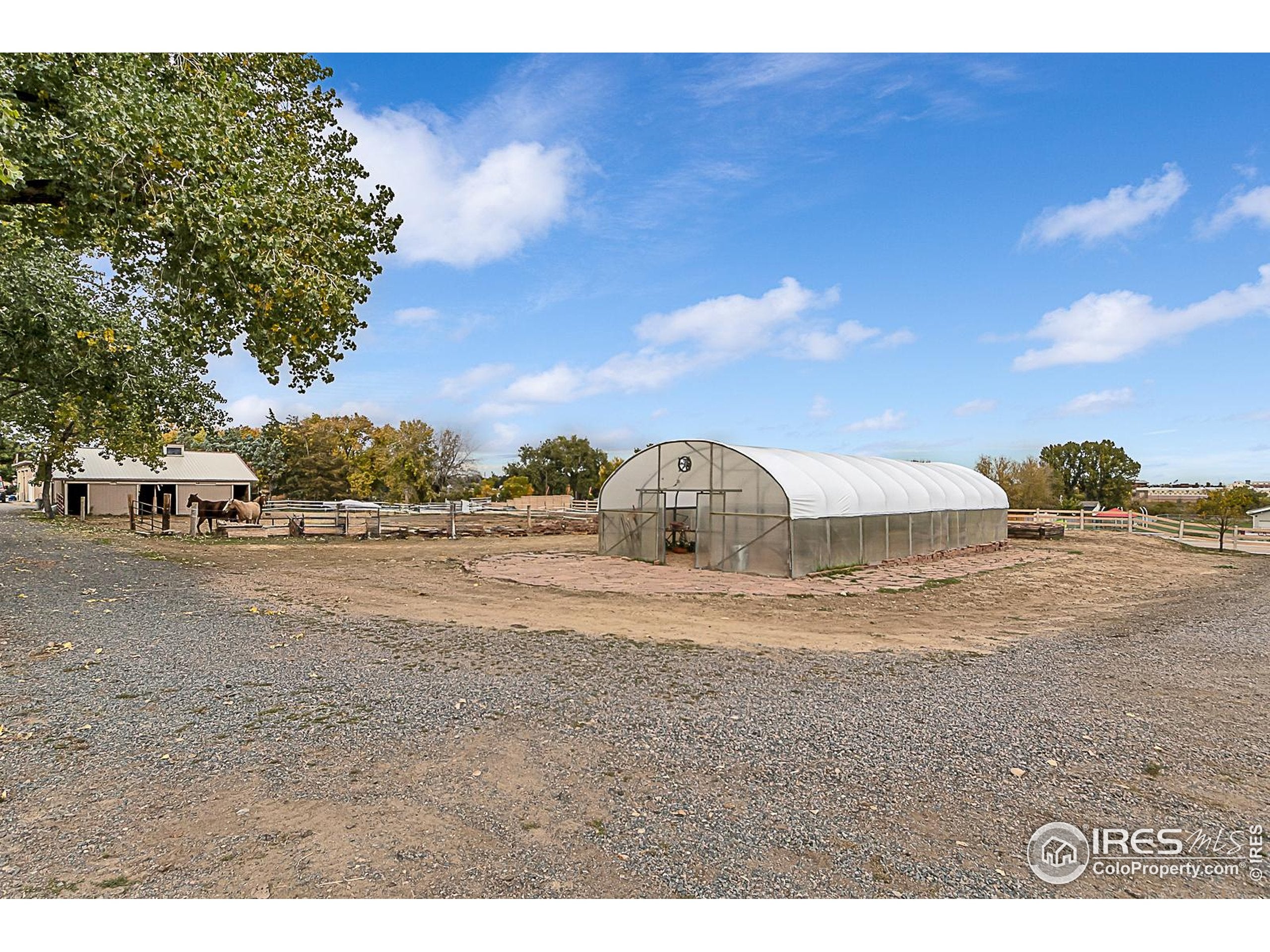 Greeley, Colorado, 80634, United States, 6 Bedrooms Bedrooms, ,3 BathroomsBathrooms,Residential,Active,1889341