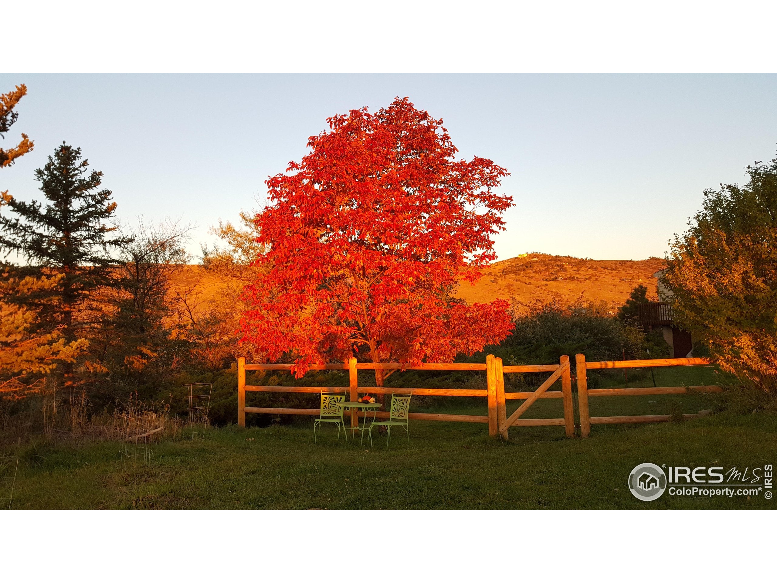 Berthoud, Colorado, 80513, United States, 5 Bedrooms Bedrooms, ,4 BathroomsBathrooms,Residential,Active,1914590