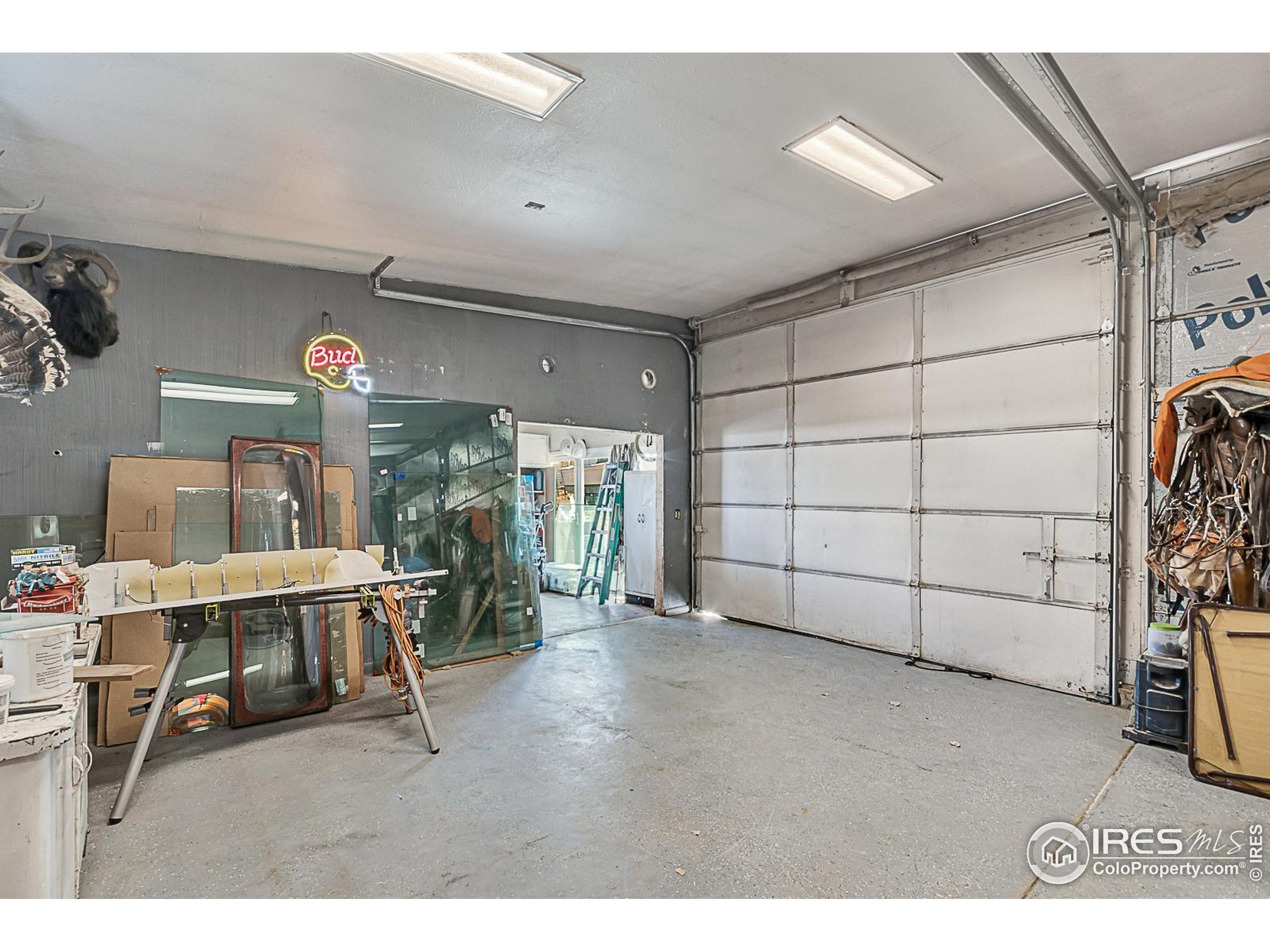 Greeley, Colorado, 80634, United States, 6 Bedrooms Bedrooms, ,3 BathroomsBathrooms,Residential,Active,1889341