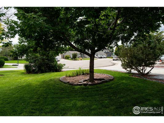 3367 MAMMOTH CT, WELLINGTON, CO 80549, photo 5 of 40