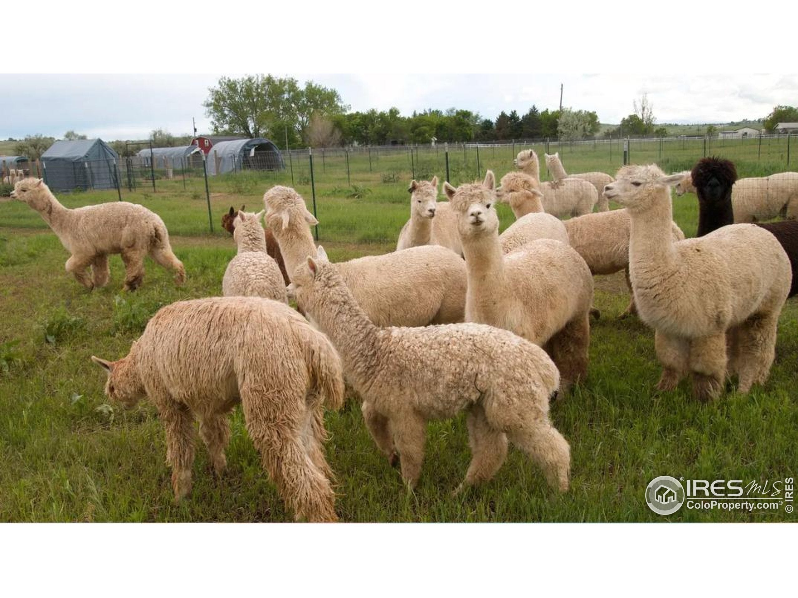 Lafayette, Colorado, 80026, United States, 2 Bedrooms Bedrooms, ,1 BathroomBathrooms,Residential,Active,1997629