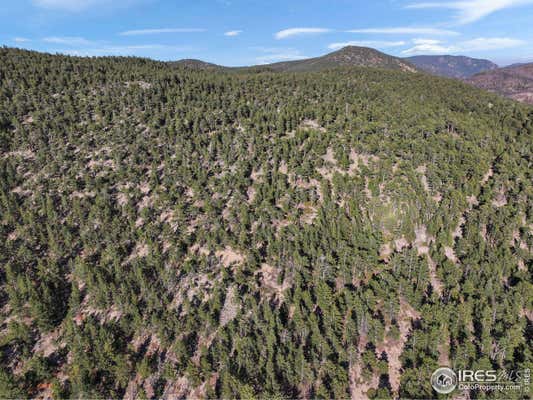 INDIANA GULCH RD, WARD, CO 80481, photo 3 of 29