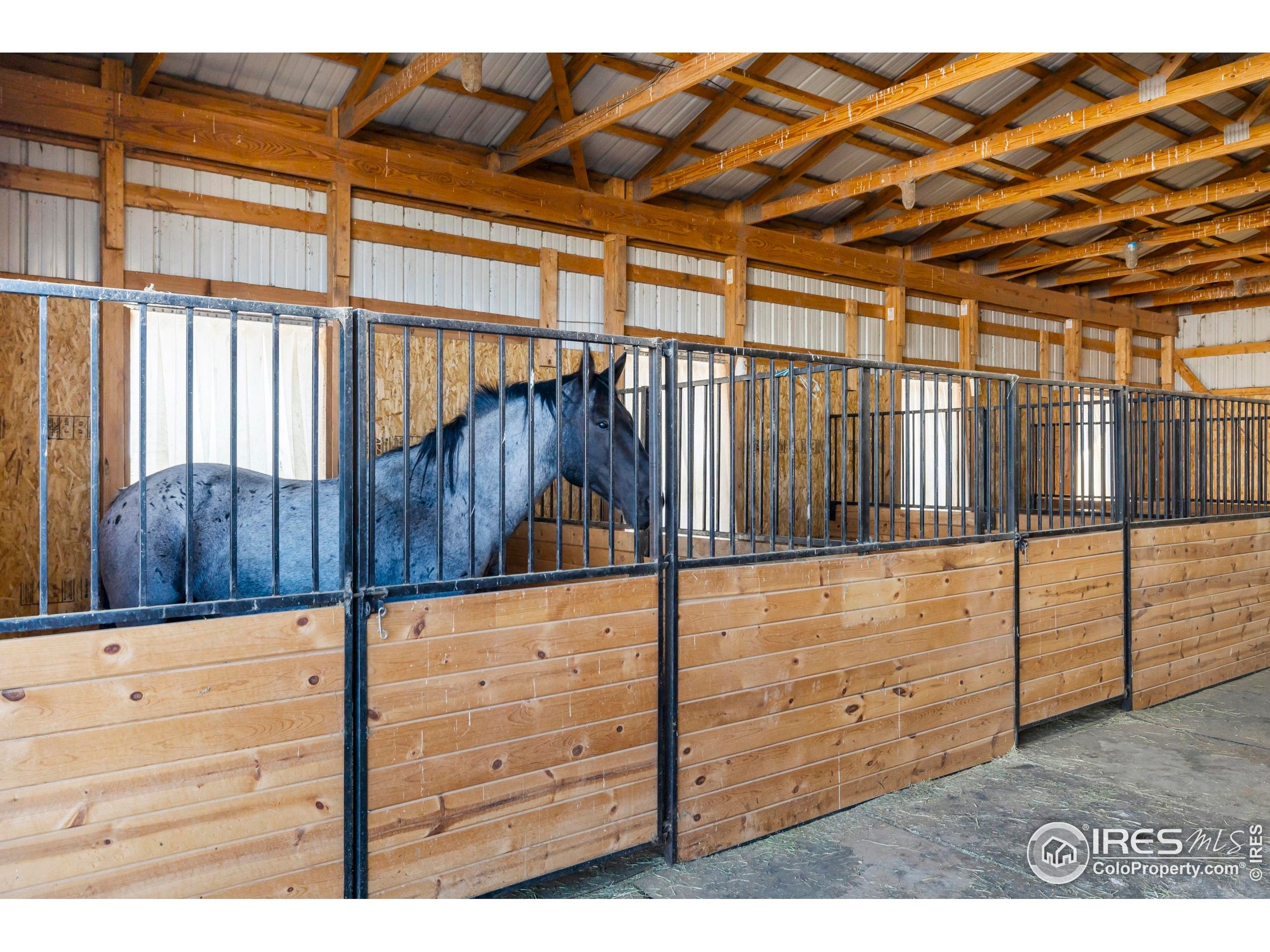 Wellington, Colorado, 80549, United States, 5 Bedrooms Bedrooms, ,4 BathroomsBathrooms,Residential,Active,1954368