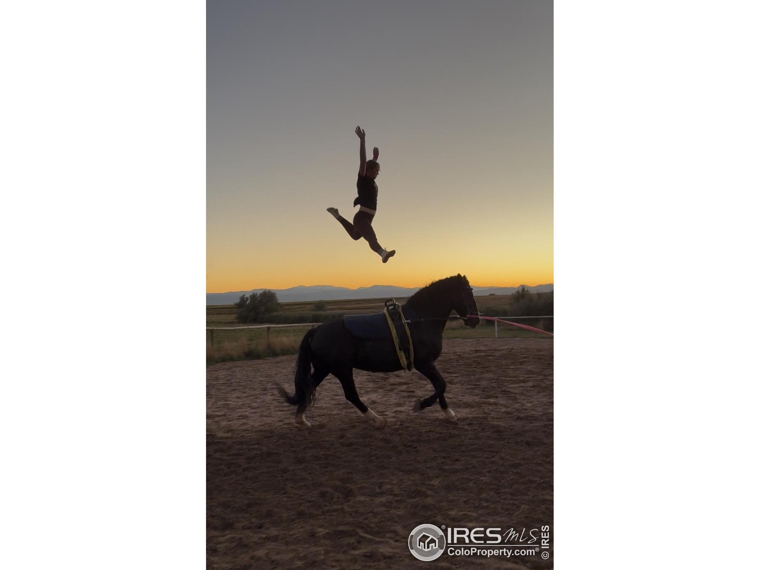 Wellington, Colorado, 80549, United States, 5 Bedrooms Bedrooms, ,4 BathroomsBathrooms,Residential,Active,1954368