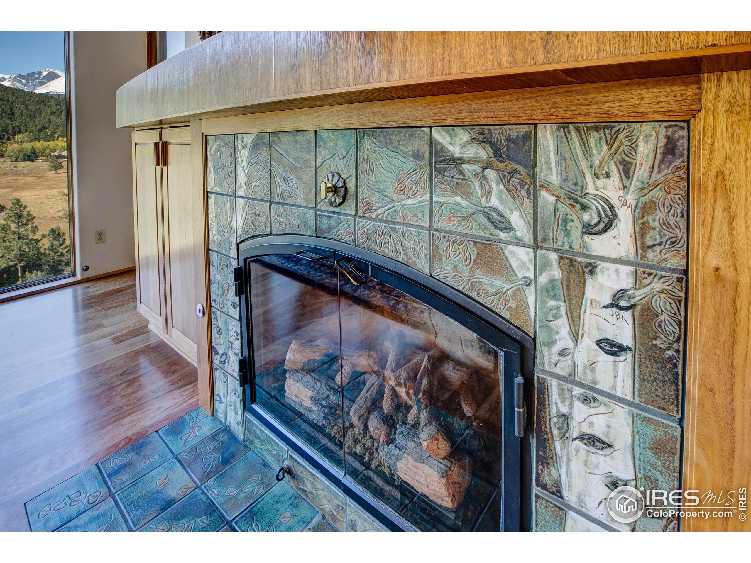 Estes Park, Colorado, 80517, United States, 6 Bedrooms Bedrooms, ,6 BathroomsBathrooms,Residential,Active,1952470