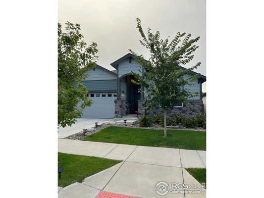 4367 MARTINSON DR, LOVELAND, CO 80537 - Image 1