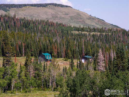 1189 MOUNTAIN RIDGE RD, RED FEATHER LAKES, CO 80545 - Image 1