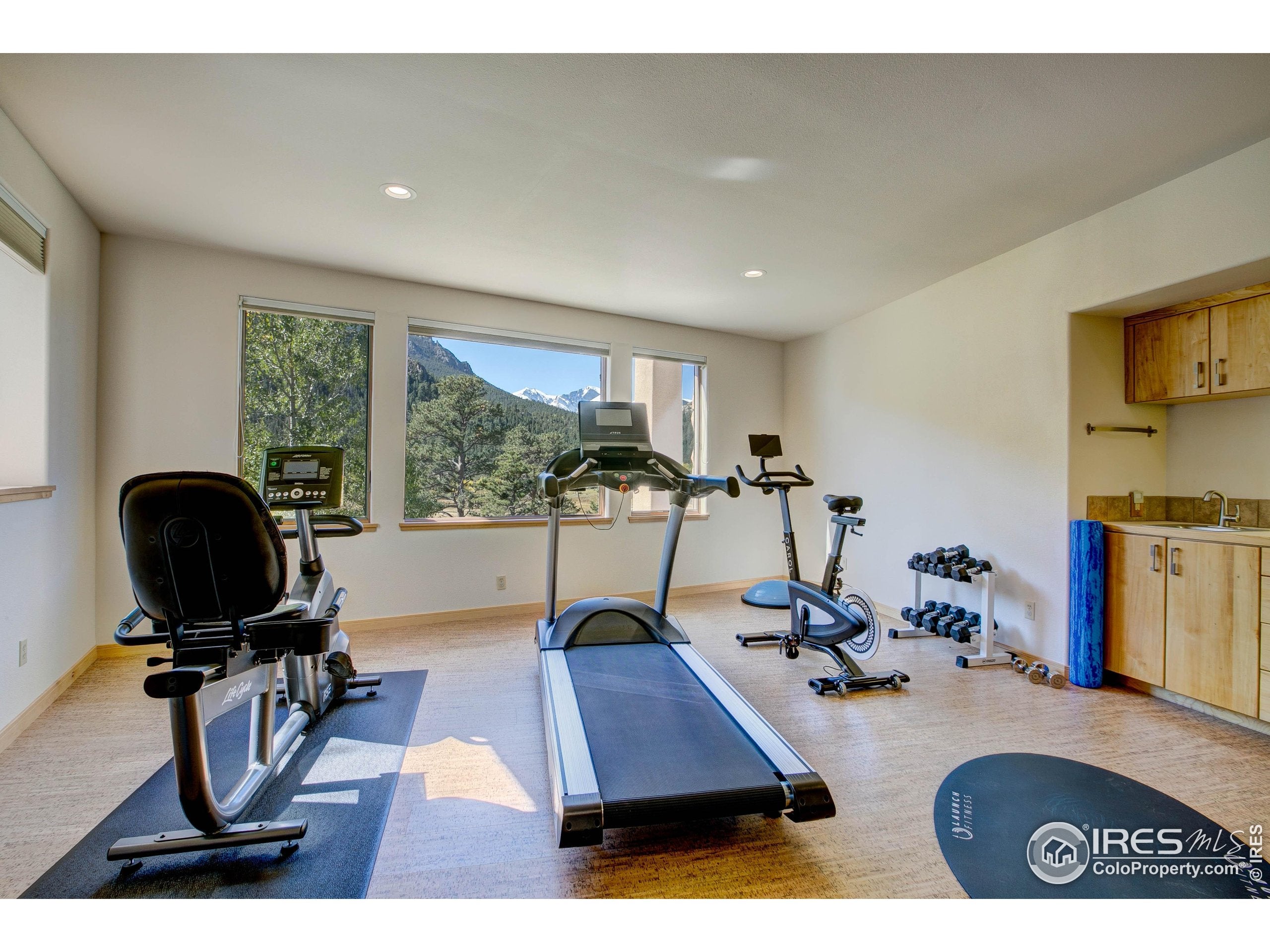 Estes Park, Colorado, 80517, United States, 6 Bedrooms Bedrooms, ,6 BathroomsBathrooms,Residential,Active,1952470