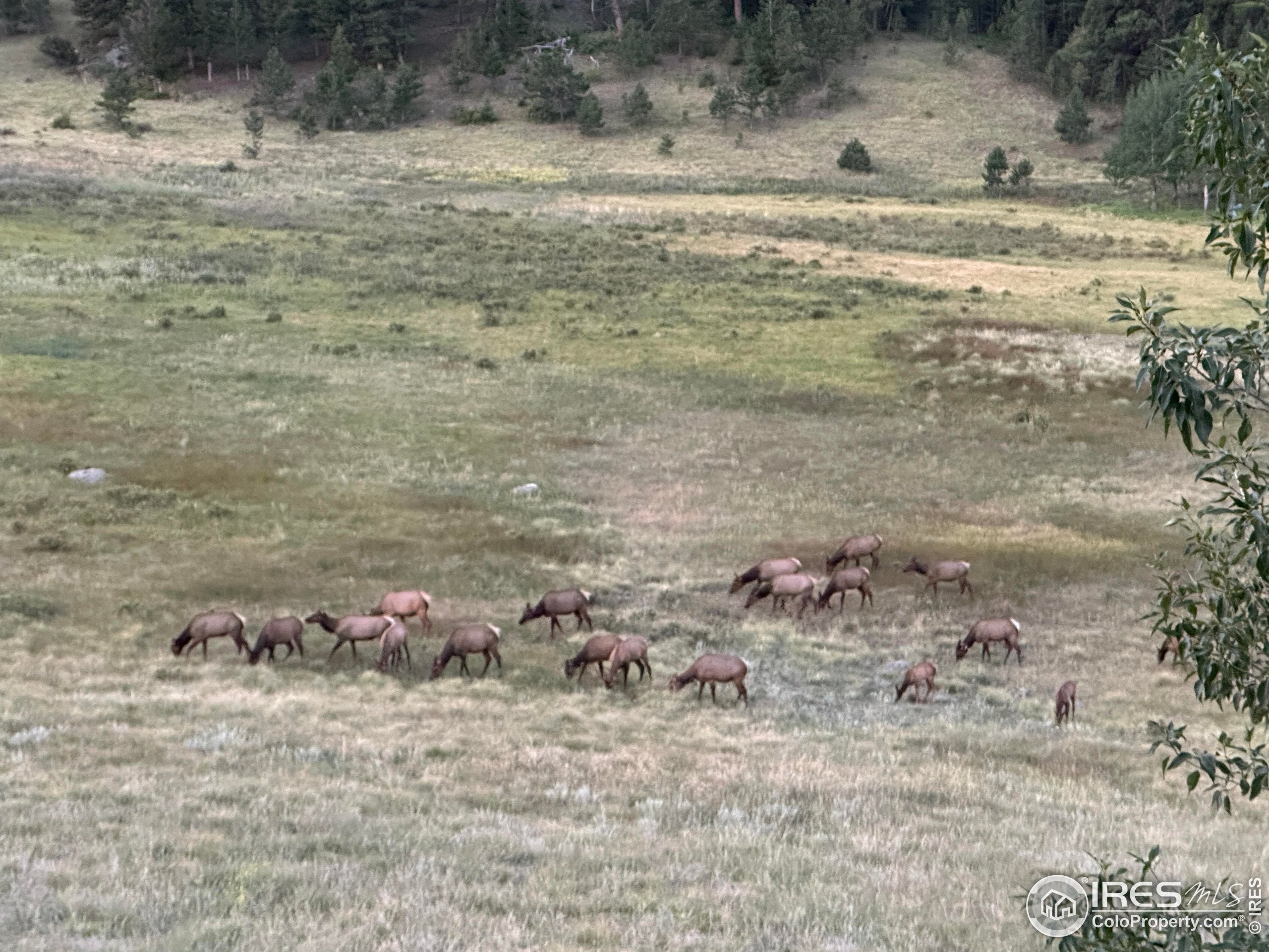 Estes Park, Colorado, 80517, United States, 6 Bedrooms Bedrooms, ,6 BathroomsBathrooms,Residential,Active,1952470