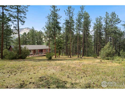 341 SPRUCE MOUNTAIN DR, DRAKE, CO 80515 - Image 1