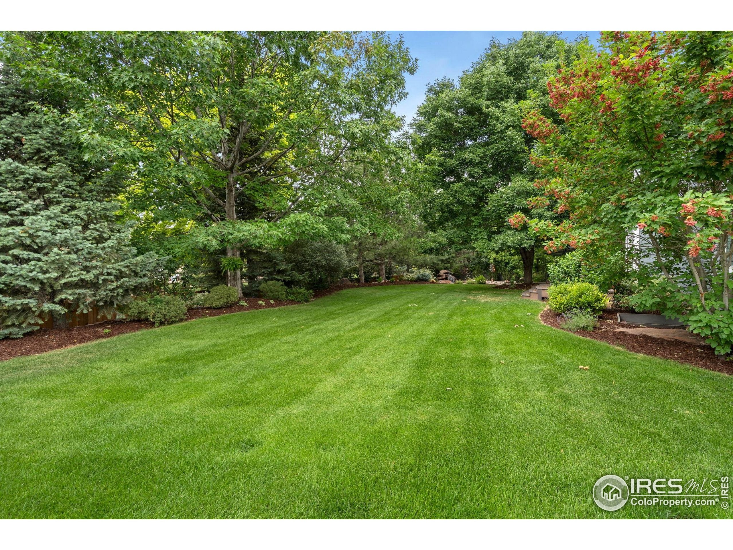 Fort Collins, Colorado, 80525, United States, 5 Bedrooms Bedrooms, ,5 BathroomsBathrooms,Residential,Active,1927669