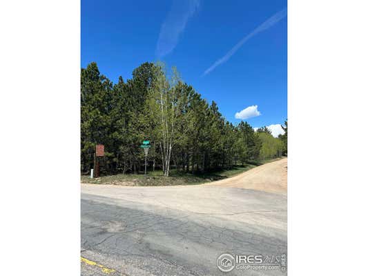 75 OVERLAND DR, WARD, CO 80481 - Image 1