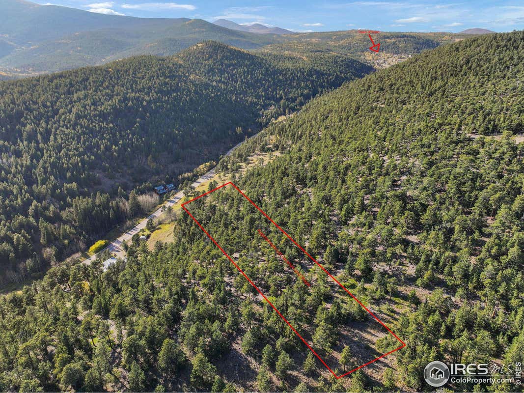 INDIANA GULCH RD, WARD, CO 80481, photo 1 of 29