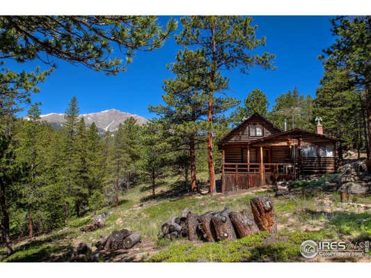 1217 BIG OWL RD, ALLENSPARK, CO 80510 - Image 1