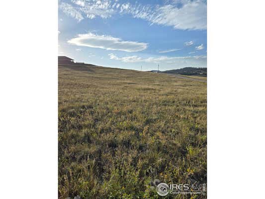 443 MEADOW MOUNTAIN DR, LIVERMORE, CO 80536 - Image 1