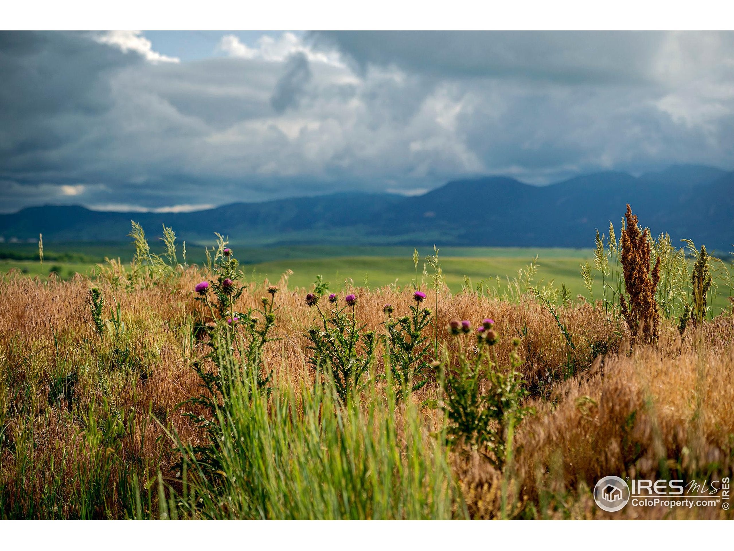 Boulder, Colorado, 80303, United States, ,Residential,Active,1997568