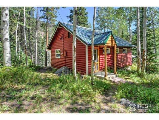 349 PEACEFUL VALLEY RD, LYONS, CO 80540 - Image 1