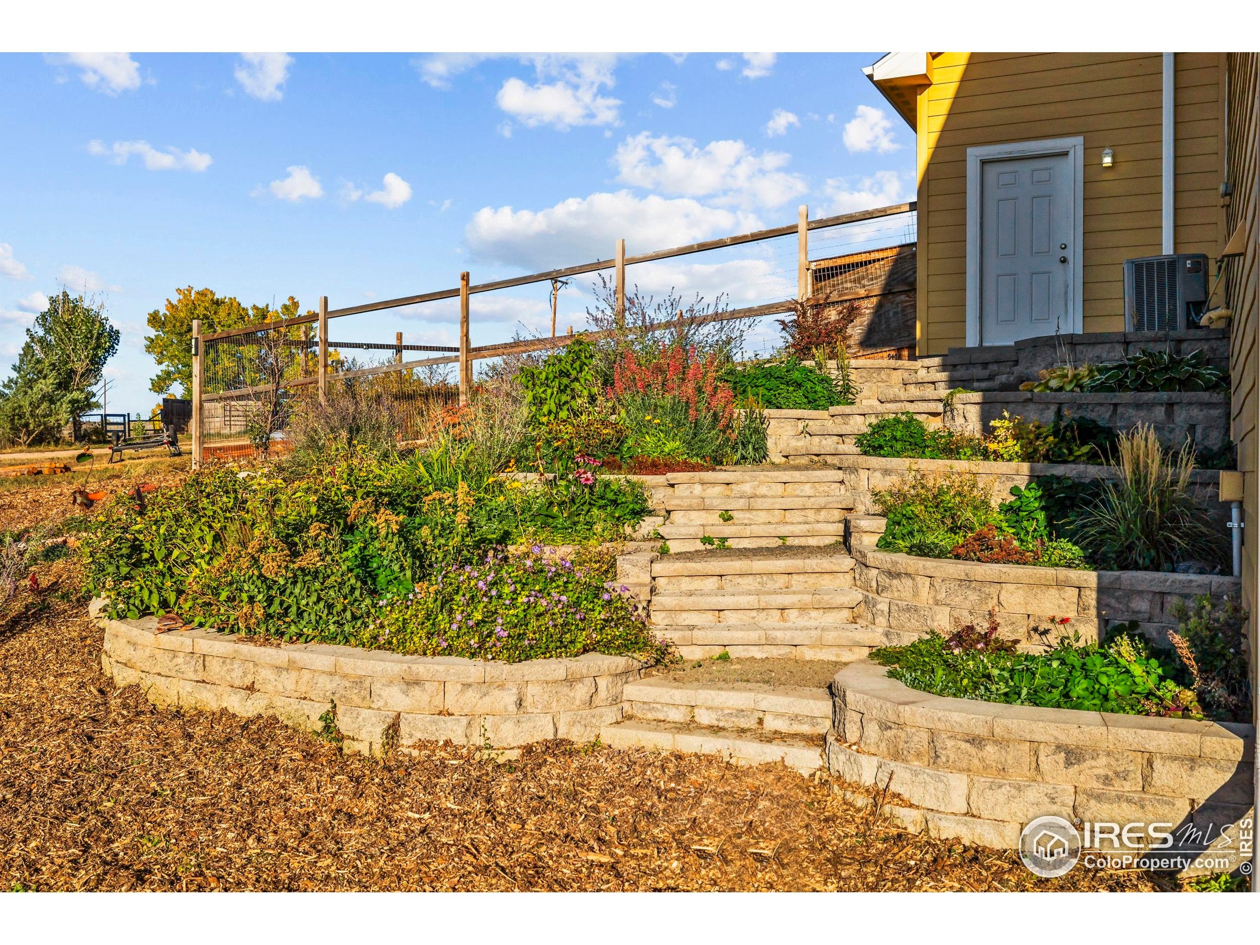 Wellington, Colorado, 80549, United States, 5 Bedrooms Bedrooms, ,4 BathroomsBathrooms,Residential,Active,1954368