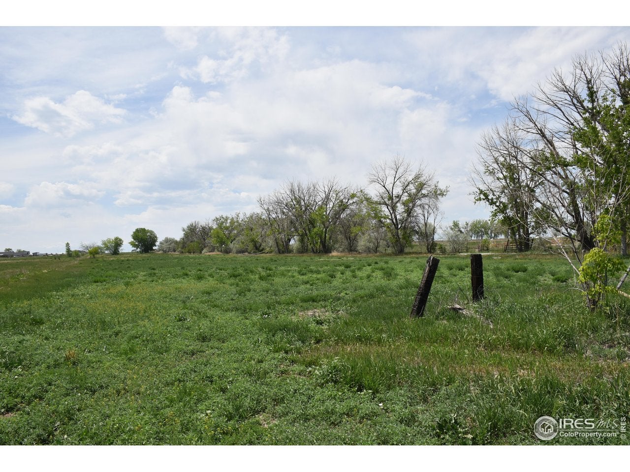 Brighton, Colorado, 80603, United States, 2 Bedrooms Bedrooms, ,1 BathroomBathrooms,Residential,Active,2012918