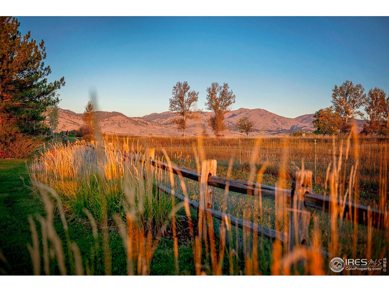 Longmont, Colorado, 80503, United States, 3 Bedrooms Bedrooms, ,3 BathroomsBathrooms,Residential,Contingent,1997617