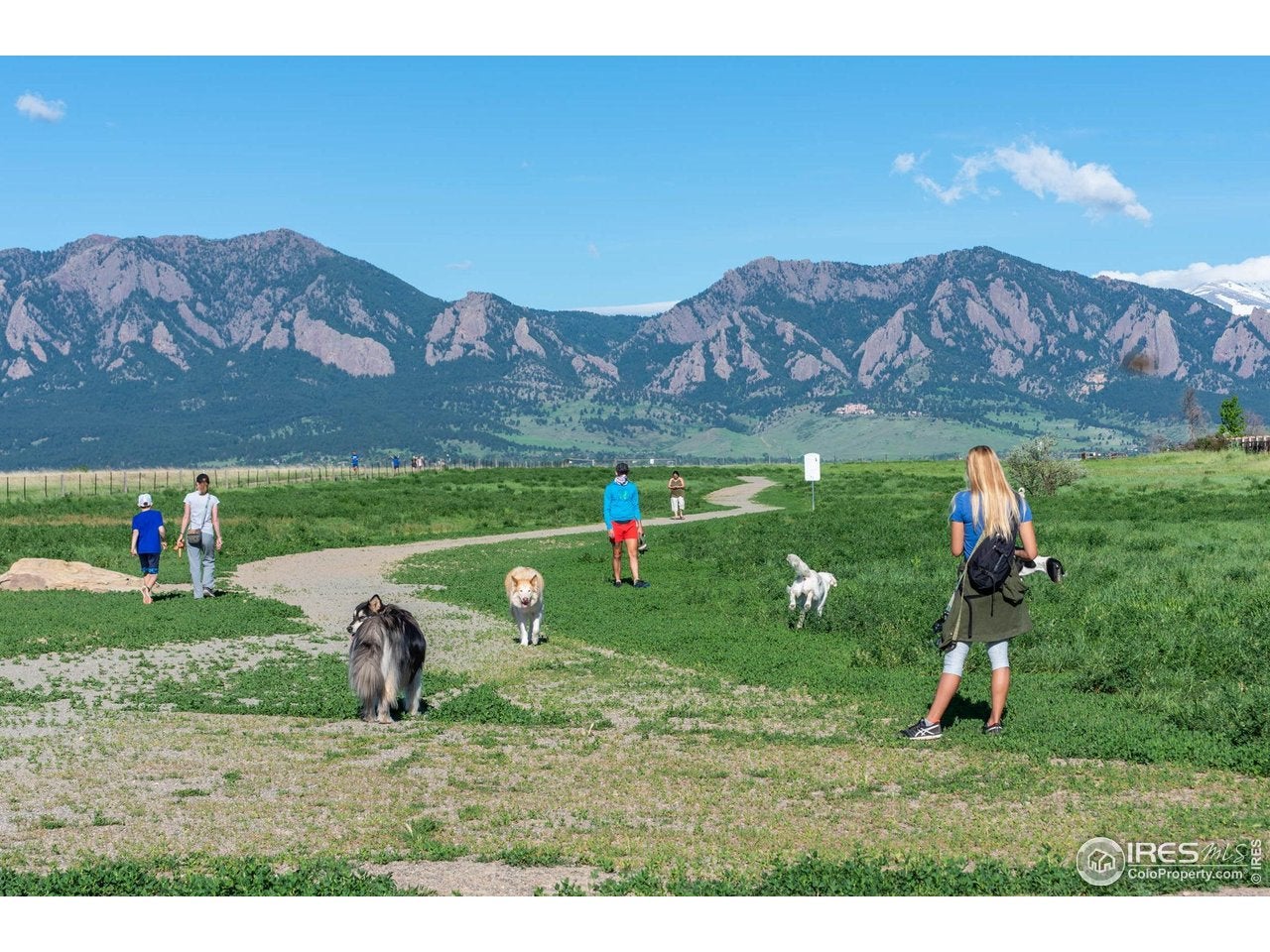 Louisville, Colorado, 80027, United States, 4 Bedrooms Bedrooms, ,4 BathroomsBathrooms,Residential,Active,2009812