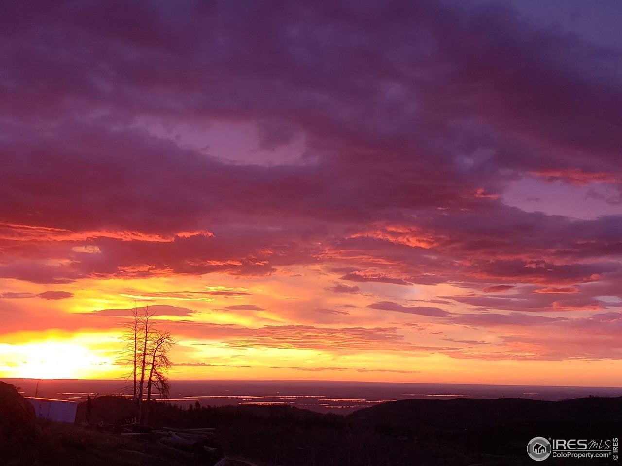 Bellvue, Colorado, 80512, United States, 4 Bedrooms Bedrooms, ,3 BathroomsBathrooms,Residential,Active,1834310