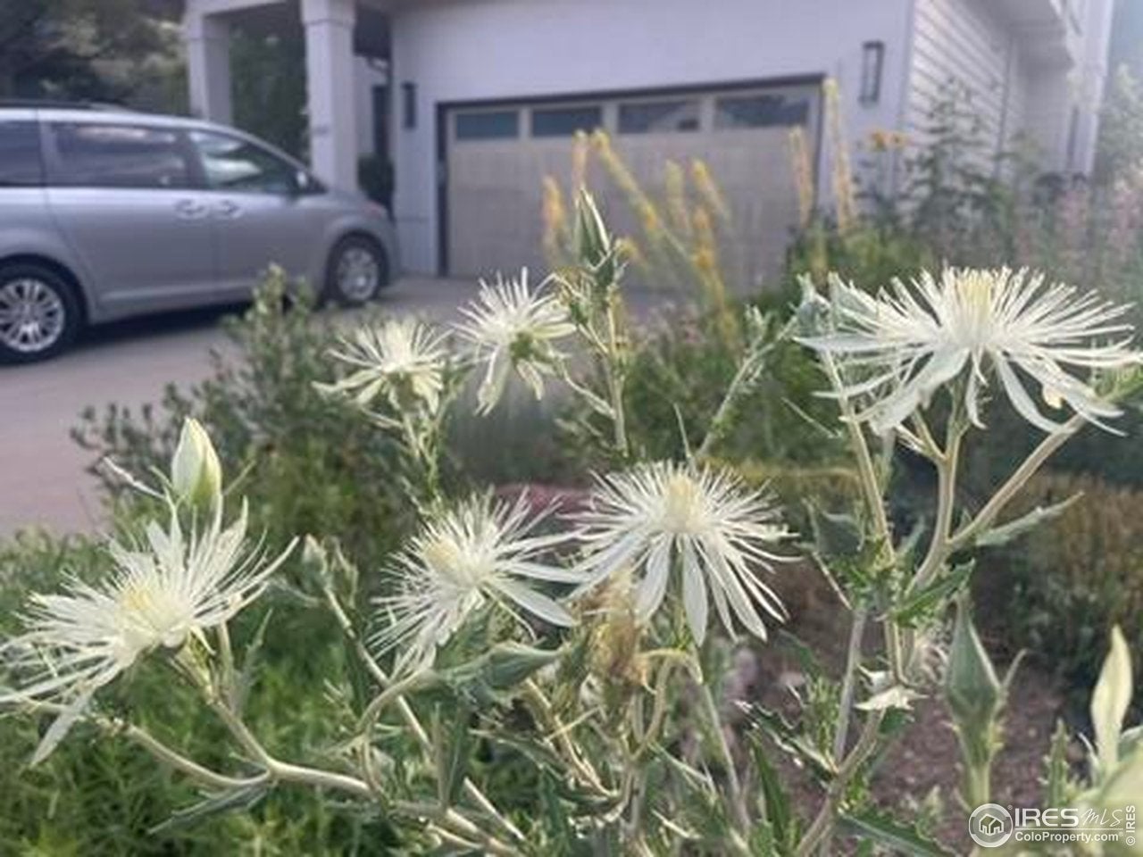 Boulder, Colorado, 80304, United States, 5 Bedrooms Bedrooms, ,4 BathroomsBathrooms,Residential,Active,1996274