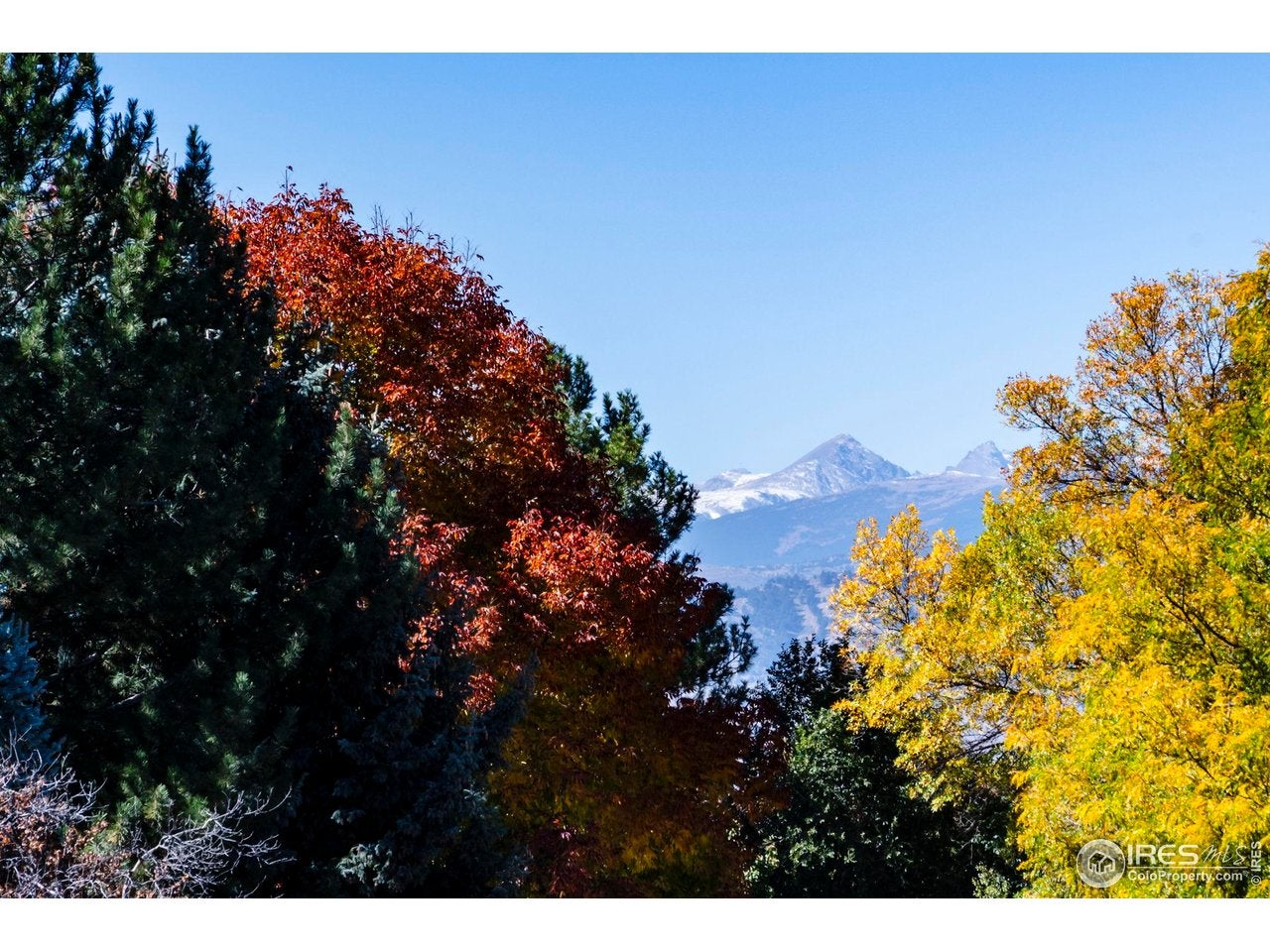 Boulder, Colorado, 80301, United States, 4 Bedrooms Bedrooms, ,4 BathroomsBathrooms,Residential,Active,2007916