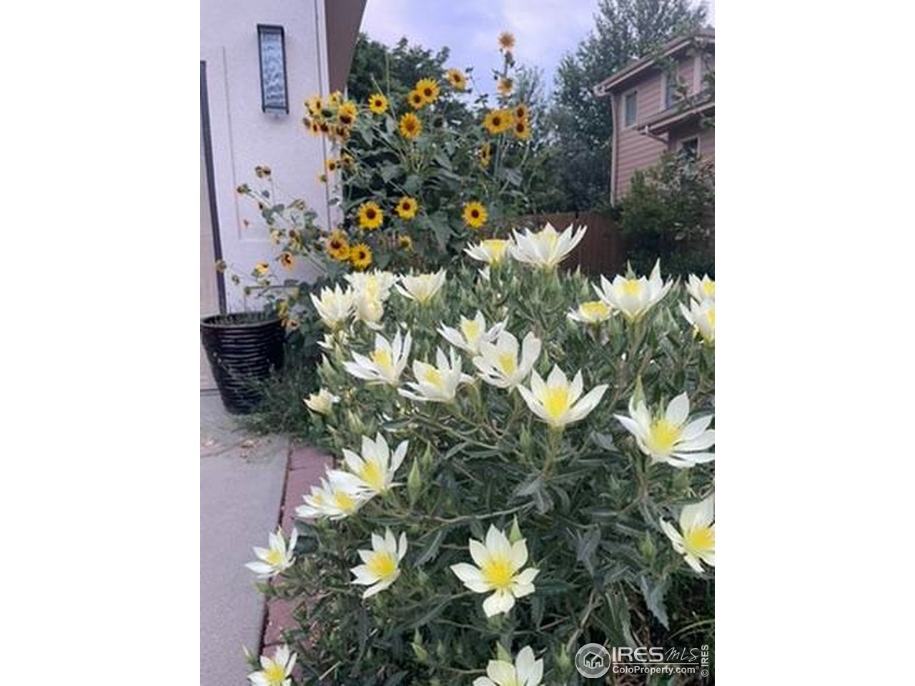 Boulder, Colorado, 80304, United States, 5 Bedrooms Bedrooms, ,4 BathroomsBathrooms,Residential,Active,1996274