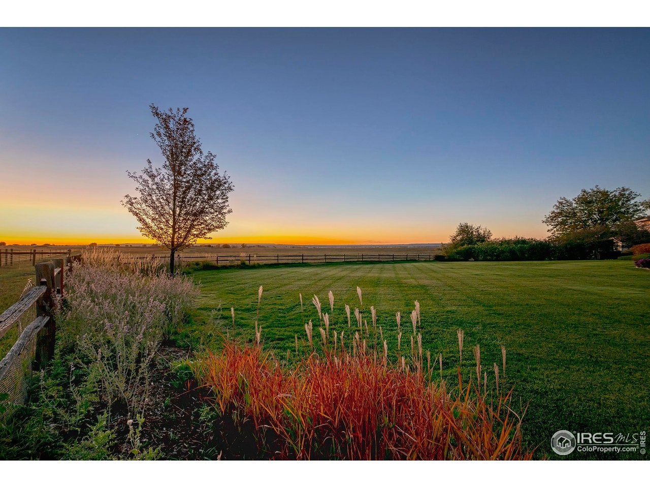 Longmont, Colorado, 80503, United States, 3 Bedrooms Bedrooms, ,3 BathroomsBathrooms,Residential,Contingent,1997617