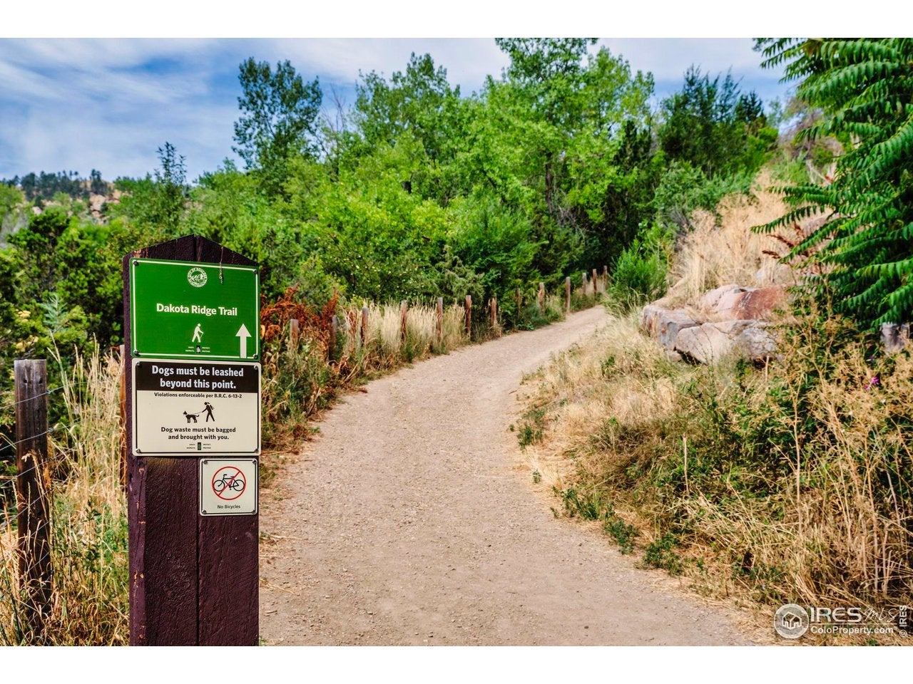 Boulder, Colorado, 80304, United States, 3 Bedrooms Bedrooms, ,3 BathroomsBathrooms,Residential,Active,2007953